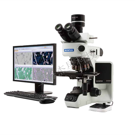洛氏硬度計(jì)、布氏硬度計(jì)和維氏硬度計(jì)三種常見臺(tái)式硬度計(jì)金屬檢測(cè)選用比較區(qū)PSG2107085 